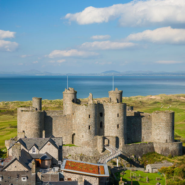 Castell Harlech Pamffledyn Canllaw