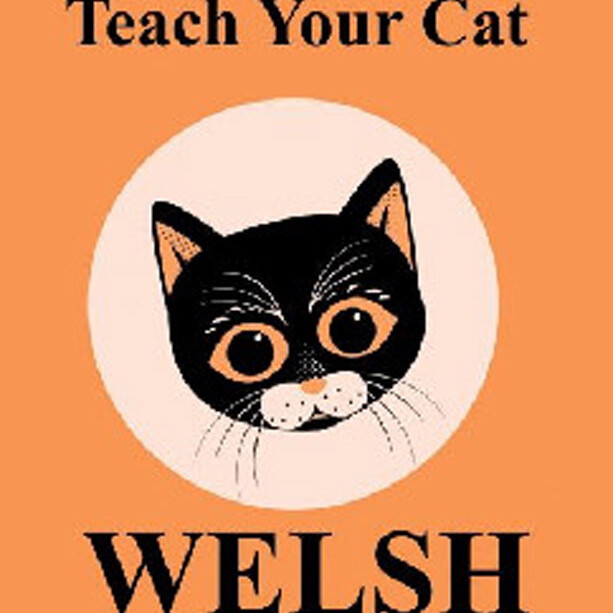 Teach Your Cat Welsh