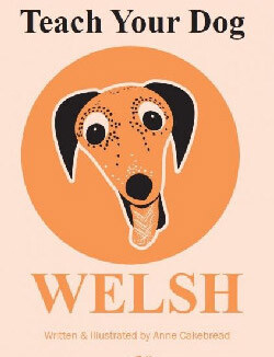 Teach Your Dog Welsh